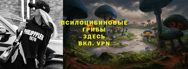 трава Зерноград